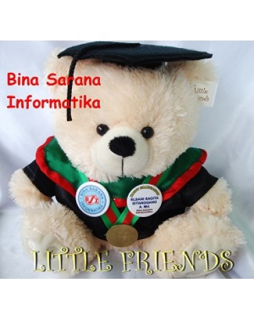 Boneka Wisuda Bina Sarana Informatika - Diploma (30 cm)